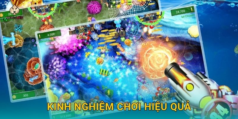 Kinh nghiệm chơi hiệu quả