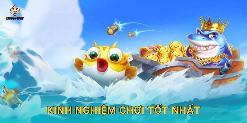 Kinh nghiệm chơi tốt nhất
