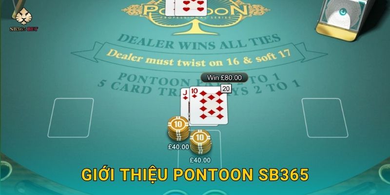 Giới thiệu Pontoon Sb365