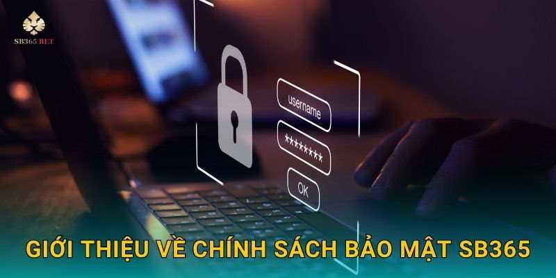 Giới thiệu về Chính sách bảo mật Sb365