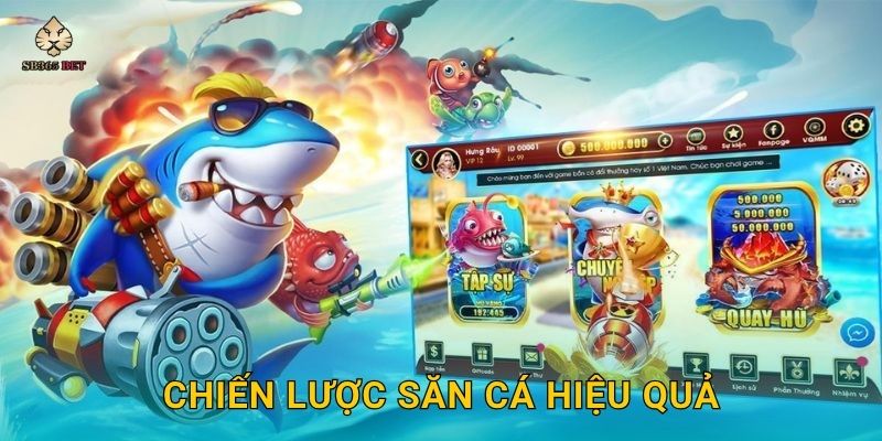 Chiến lược săn cá hiệu quả